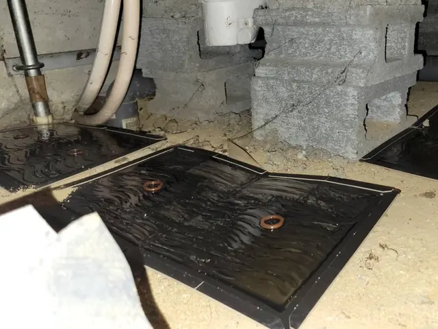 【環境省の認定事業者】☆お見積り無料！即日ご対応可能！完全駆除をお約束します！サービスの画像