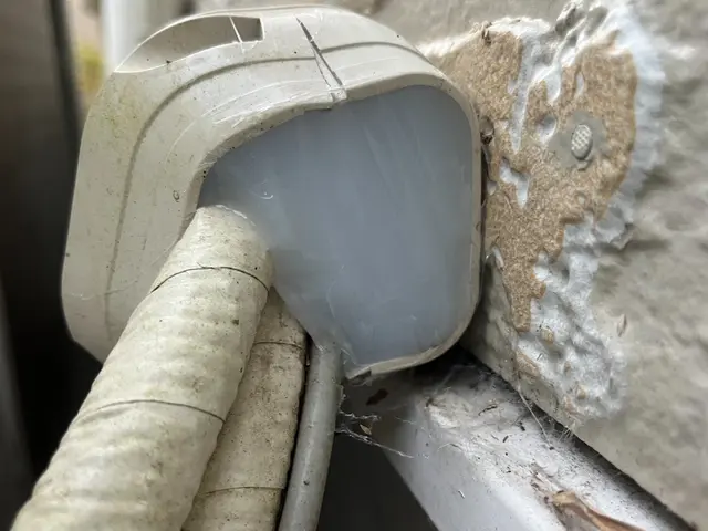 【環境省の認定事業者】☆お見積り無料！即日ご対応可能！完全駆除をお約束します！サービスの画像