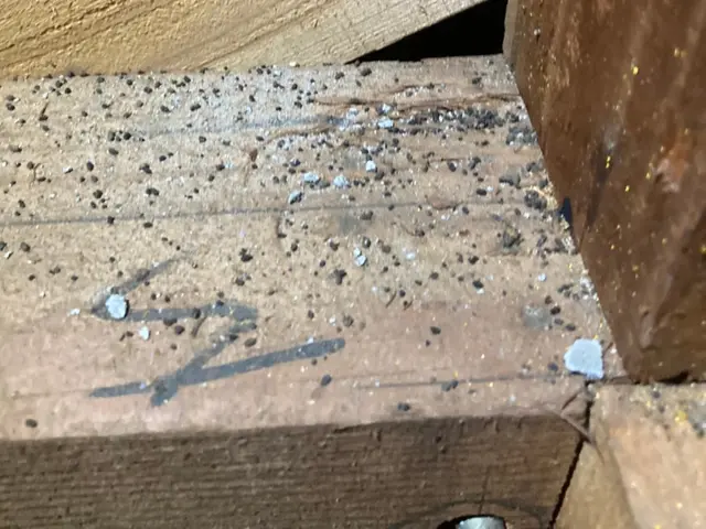 【環境省の認定事業者】☆ネズミ駆除のプロが対応☆24時間対応☆お見積り無料！サービスの画像