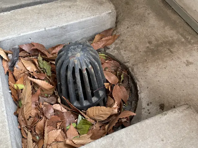 お家の周りの側溝の清掃ですサービスの画像