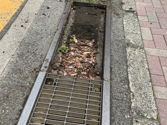 お家の周りの側溝の清掃ですサービスの画像