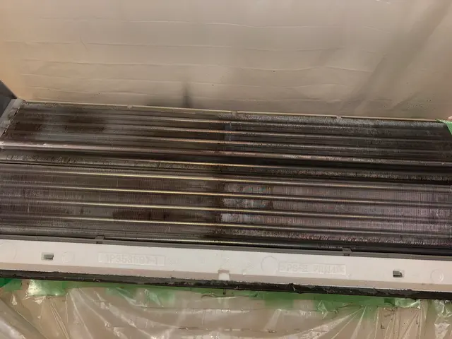 接客満足度に自信あり！損害保険加入済みで安心の自社スタッフによる出張クリーニングサービスの画像