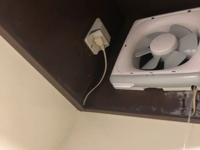 換気扇(プロペラタイプ分解洗浄)隅々まで丁寧にサービスの画像