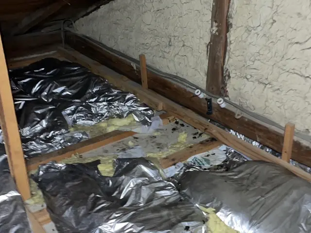 ハクビシン・アライグマ徹底防除サポート	をします。安心生活を守る害獣対策サービスの画像