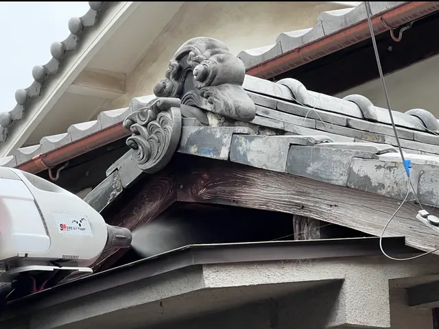 ハクビシン・アライグマ徹底防除サポート	をします。安心生活を守る害獣対策サービスの画像