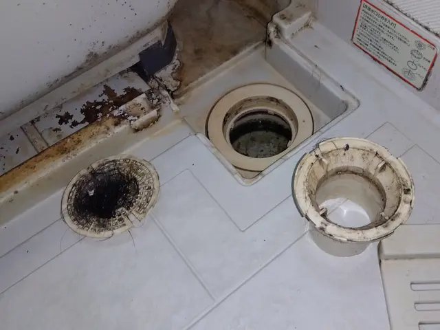 綺麗なピカピカなお風呂を気持ちよく使用しませんか？サービスの画像