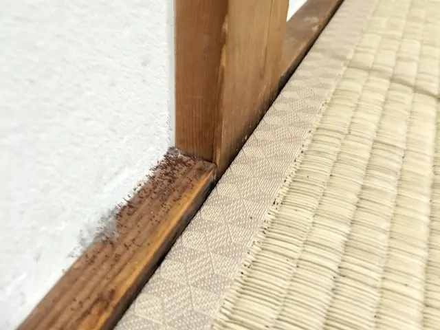 ◆カンザイシロアリ防除◆開業2年サービスの画像