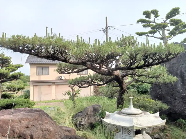 殺虫剤散布、殺菌剤散布いたします。農薬管理指導士資格取得。サービスの画像