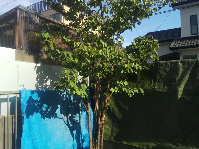 殺虫剤散布、殺菌剤散布いたします。農薬管理指導士資格取得。サービスの画像