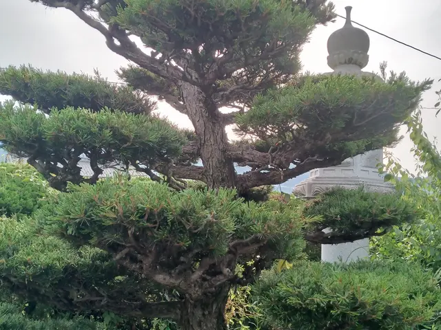 殺虫剤散布、殺菌剤散布いたします。農薬管理指導士資格取得。サービスの画像