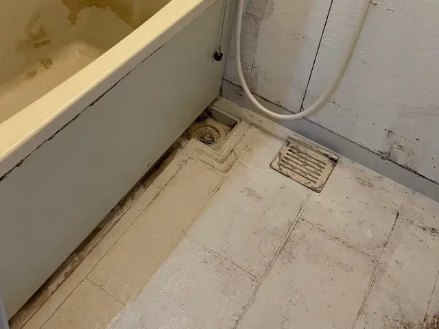 水回りクリーニング/4点セット（お風呂＋換気扇＋トイレ＋キッチン）サービスの画像