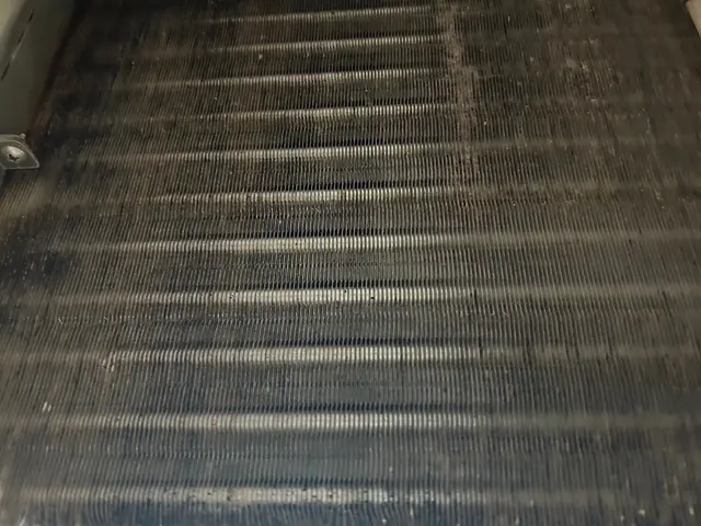 出店祝い　飲食店様限定で特別価格で作業させていただきますサービスの画像