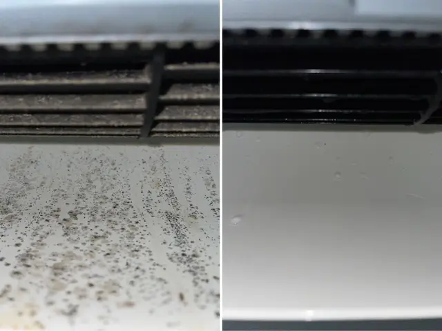 【無臭エコ洗剤でお子様やペットも安心】複数台割引き有！迷ったら私にお任せ下さい！サービスの画像