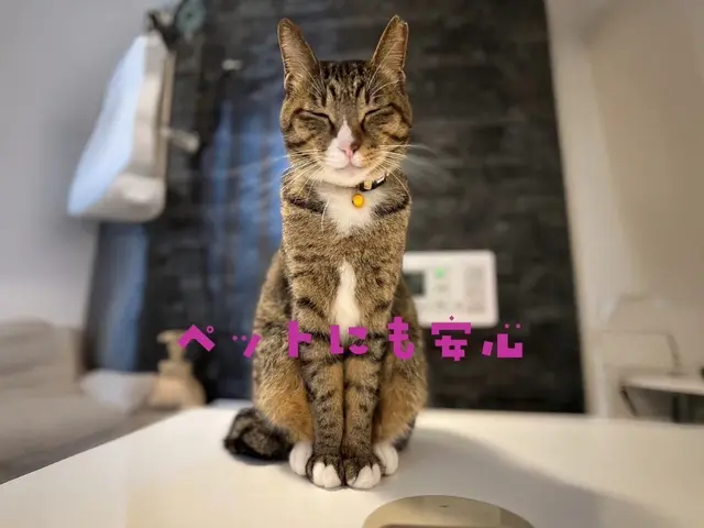 【無臭エコ洗剤でお子様やペットも安心】複数台割引き有！迷ったら私にお任せ下さい！サービスの画像