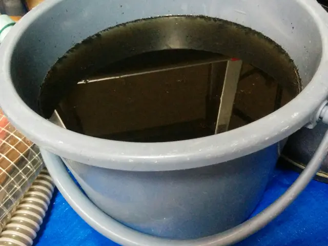 くらしのマーケットアワード過去3回入選！ドレンパン分解！国家資格技能士サービスの画像