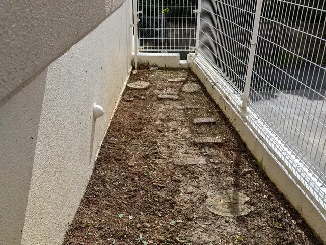 お庭の草刈り草むしりのことならクリーンピース沖縄にお任せ下さい！サービスの画像