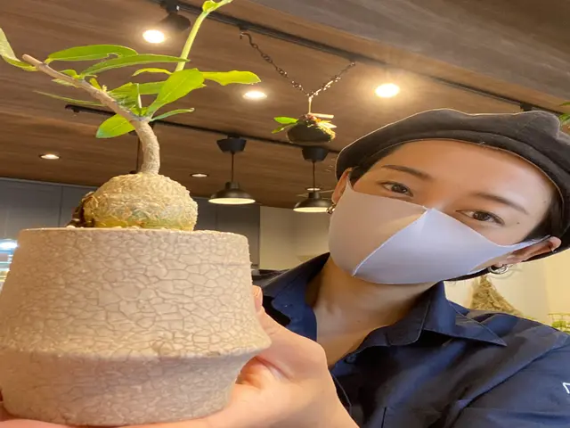 おうちをよりよく快適に！家事代行【損害保険加入】※現在定期契約のお客様のみサービスの画像