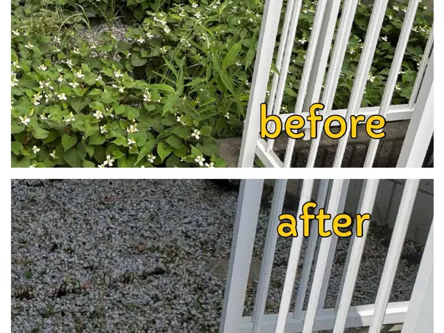 プロの技で徹底的にキレイにします!! 写真見積OK!!仕上がりに自信アリサービスの画像