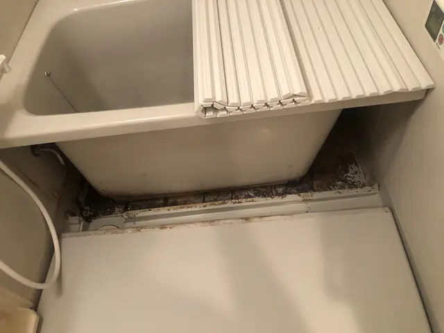 【実績10年以上】真心込めて一生懸命にお掃除します！PayPay使えますサービスの画像