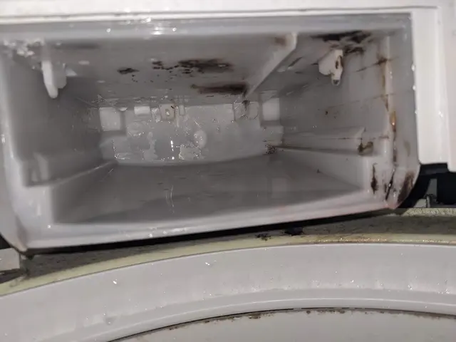 【洗濯機•縦型クリーニング】クレカ-IC-paypay-現金対応可サービスの画像