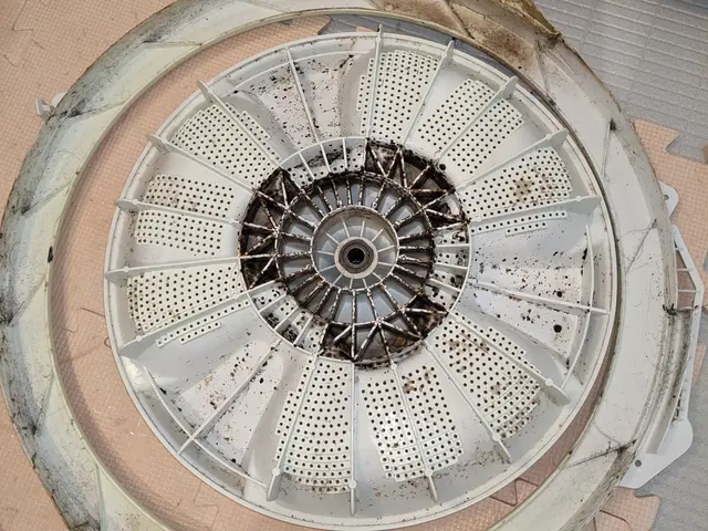 【洗濯機•縦型クリーニング】クレカ-IC-paypay-現金対応可サービスの画像