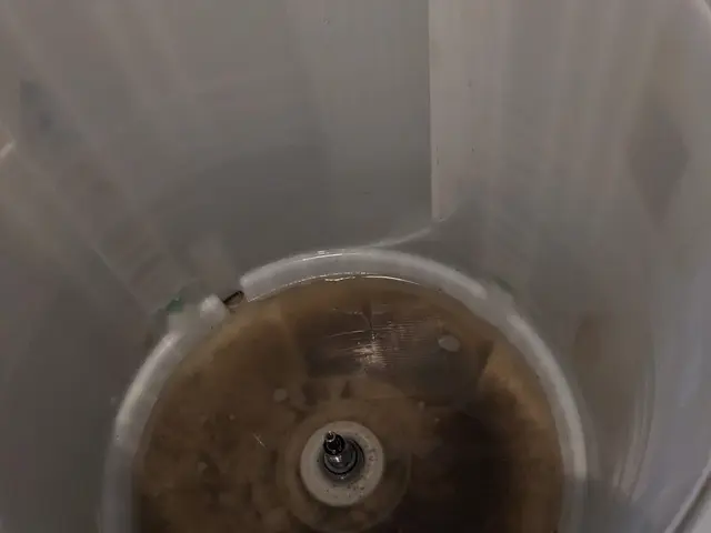 【洗濯機•縦型クリーニング】クレカ-IC-paypay-現金対応可サービスの画像