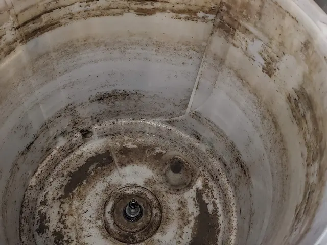 【洗濯機•縦型クリーニング】クレカ-IC-paypay-現金対応可サービスの画像