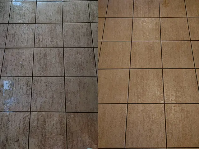 【猫好き★秋田出身25歳】エンジン式高圧洗浄機★サービスの画像