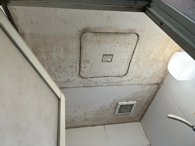 プロの技術でご満足いただけるように心を込めて作業いたします。サービスの画像