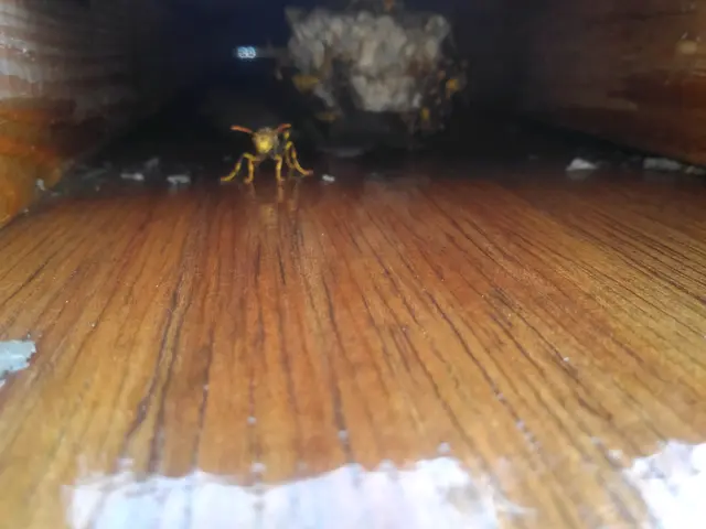 コロナ応援企画ありサービスの画像