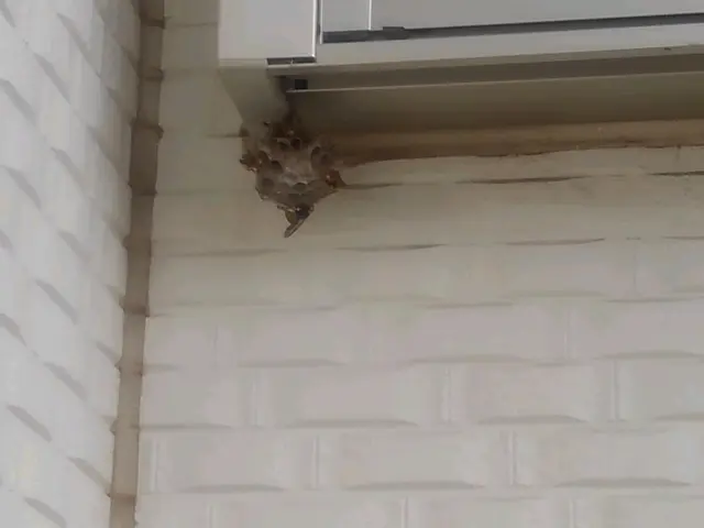 コロナ応援企画ありサービスの画像