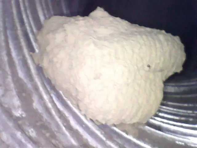 コロナ応援企画ありサービスの画像