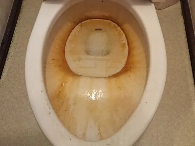 【業界実績20年】洗面所とのセットで20,000円→17,000円になります。サービスの画像