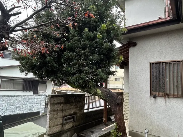 プロの技術でご満足いただけるように心を込めて作業いたしますサービスの画像