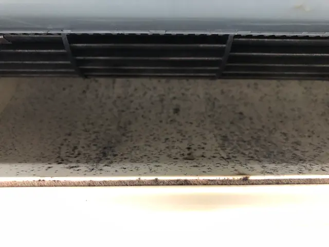 丁寧な作業で空気洗浄＆病気予防にも効果的☆初めての方大歓迎！11月限定価格☆サービスの画像