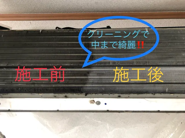 丁寧な作業で空気洗浄＆病気予防にも効果的☆初めての方大歓迎！11月限定価格☆サービスの画像