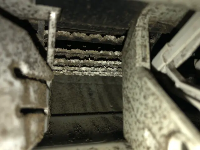 丁寧な作業で空気洗浄＆病気予防にも効果的☆初めての方大歓迎！11月限定価格☆サービスの画像