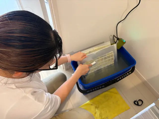 ★年末大掃除応援フェア★choiceセットで最大5000円OFF★サービスの画像