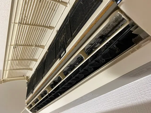 【損害保険加入済み◎】お部屋もココロも綺麗にサービスの画像