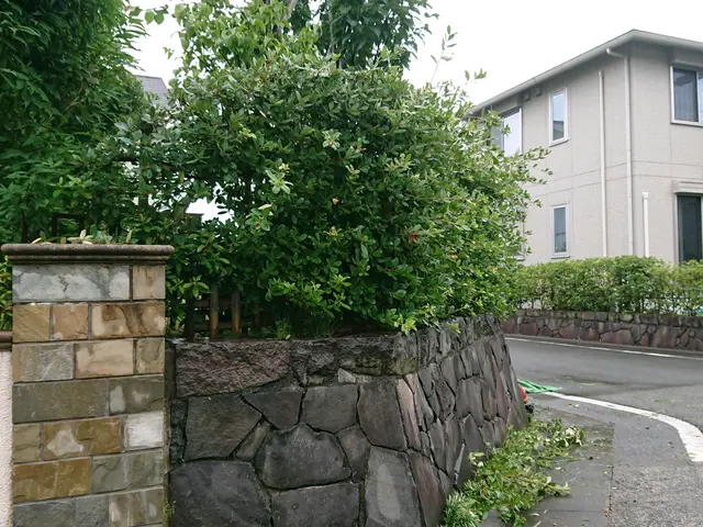 【作業外注一切なし◎】お客様の納得いくお庭作り致します！サービスの画像