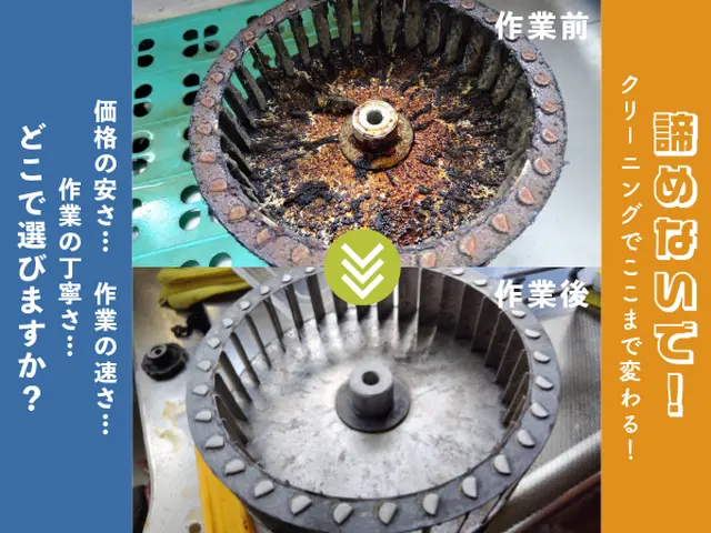 抗菌・抗ウイルス・防カビ・防汚・消臭に効果を発揮！本格的なオプションがお勧め！サービスの画像