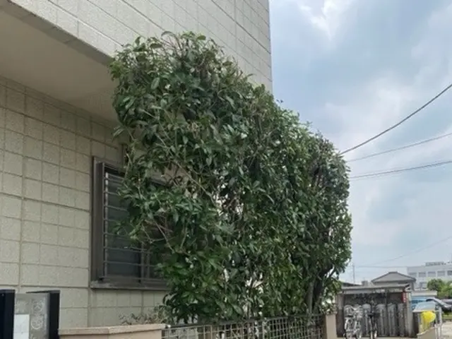 26年の経験で、お庭のパートナーとして、1本からでも気軽にご相談くださいサービスの画像