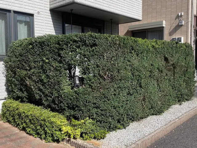26年の経験で、お庭のパートナーとして、1本からでも気軽にご相談くださいサービスの画像