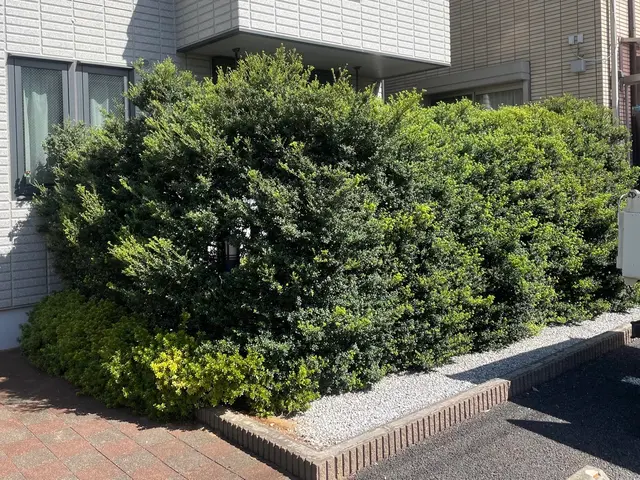 26年の経験で、お庭のパートナーとして、1本からでも気軽にご相談くださいサービスの画像