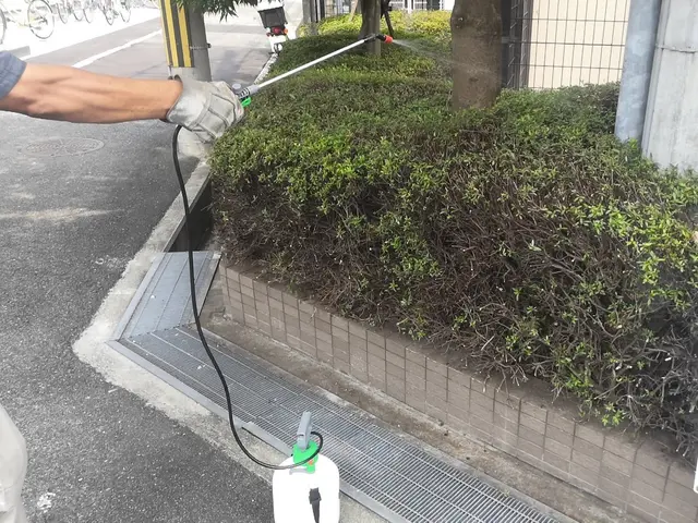 害虫やっつけます！【植木屋歴14年】すべて自社対応◆損害保険加入済み◆サービスの画像