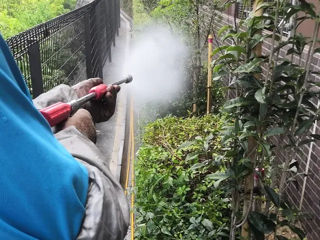 害虫やっつけます！【植木屋歴14年】すべて自社対応◆損害保険加入済み◆サービスの画像