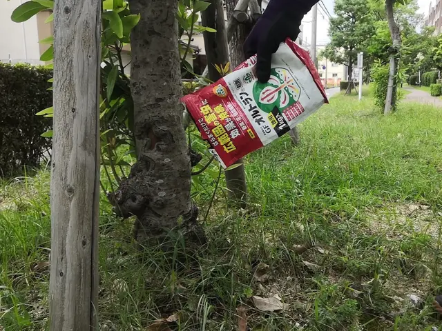 害虫やっつけます！【植木屋歴14年】すべて自社対応◆損害保険加入済み◆サービスの画像