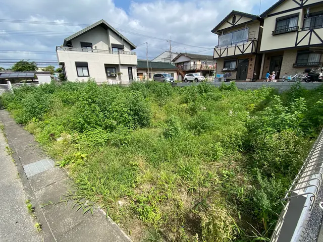 草刈り、樹木の伐採サービスの画像