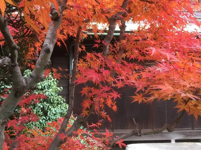 【10月出店】100件以上の実績と18年の経験☆大手での業務経験ありサービスの画像