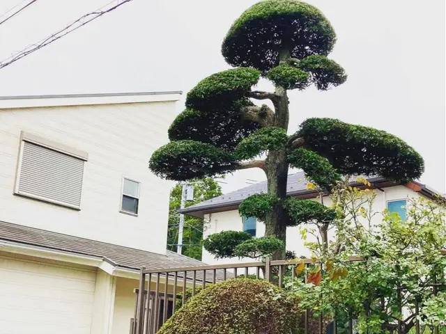 【業歴25年の実績】年中無休◎生垣はお家のお顔！◎スッキリ綺麗に仕上げます☆サービスの画像